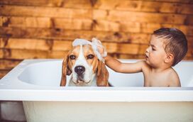 Crianças com cães têm mais autoestima