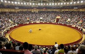 Corrida tradicional portuguesa leva competição ao Campo Pequeno