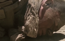 A infância humilde do filho português de Julio Iglesias