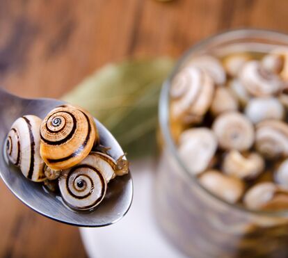 Está aberta a época do caracol! Estes são os melhores sítios para se deliciar com este petisco