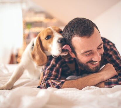 Os 10 factos sobre o seu cão que, provavelmente, não conhece