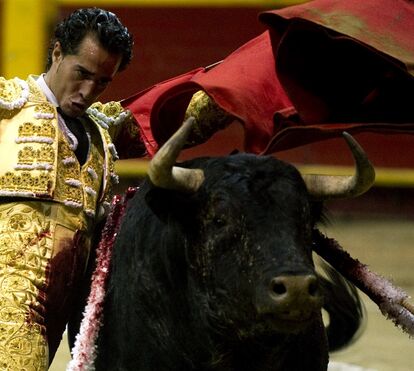 Toureiro espanhol Iván Fandiño morre numa arena em França. Veja as imagens 