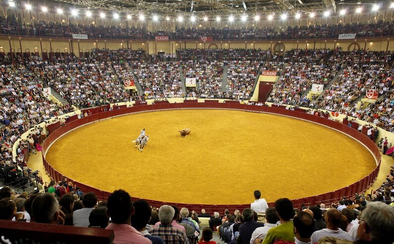 campo pequeno, tourada, corrida de toiros, lisboa, rui fernandes