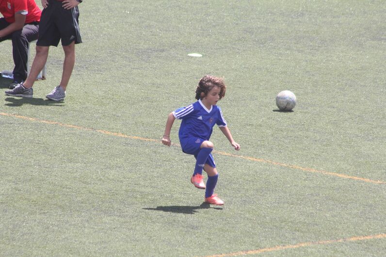 dinis aveiro, sobrinho de cristiano, katia aveiro, josé pereira 