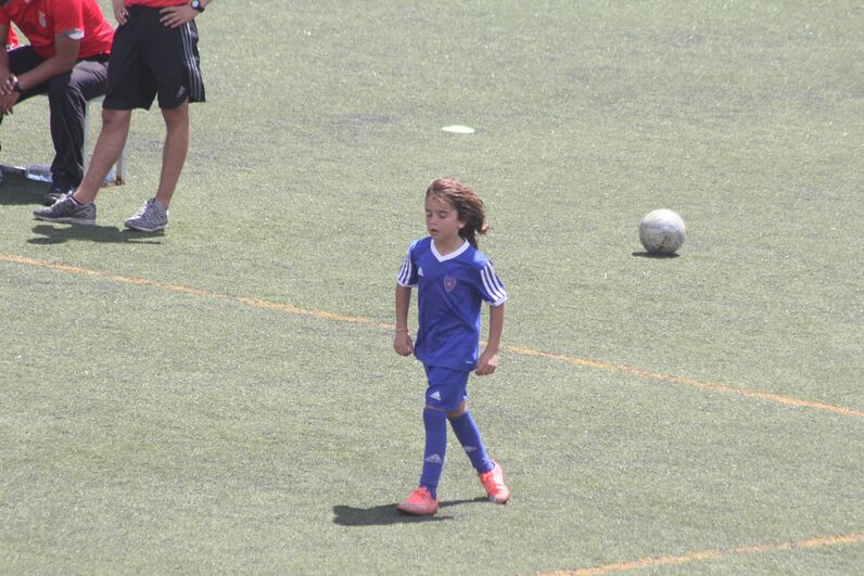 dinis aveiro, sobrinho de cristiano, katia aveiro, josé pereira 