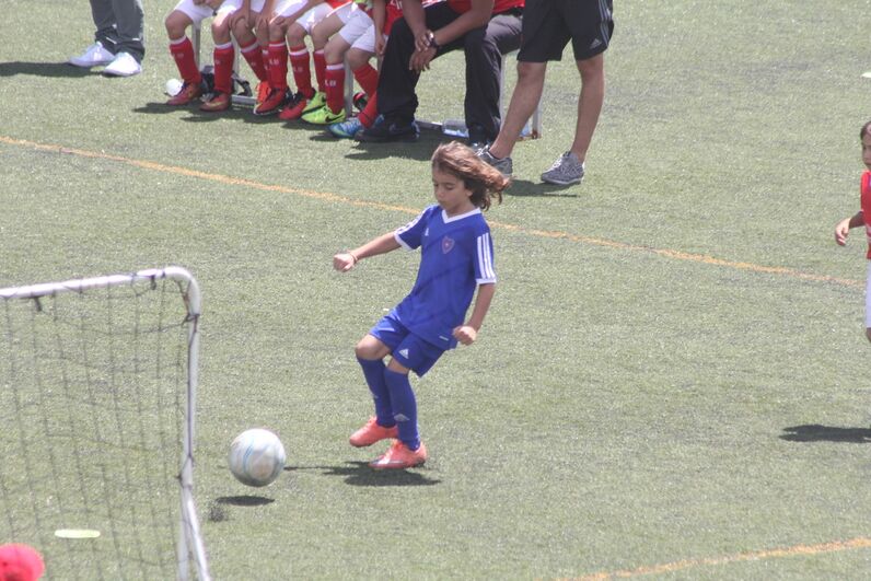 dinis aveiro, sobrinho de cristiano, katia aveiro, josé pereira 