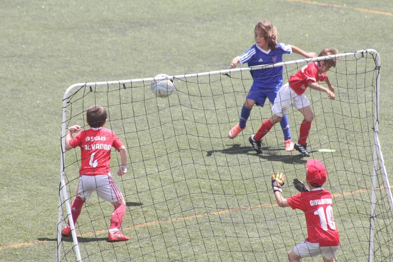 dinis aveiro, sobrinho de cristiano, katia aveiro, josé pereira 