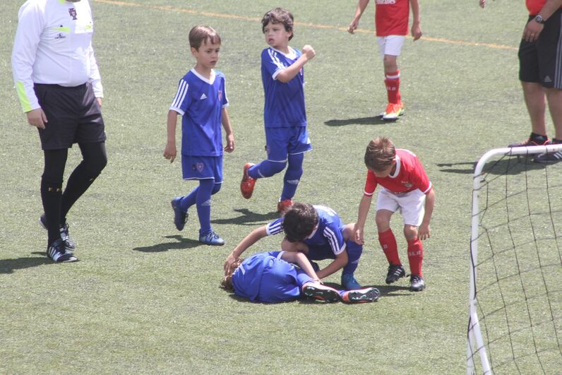 dinis aveiro, sobrinho de cristiano, katia aveiro, josé pereira 