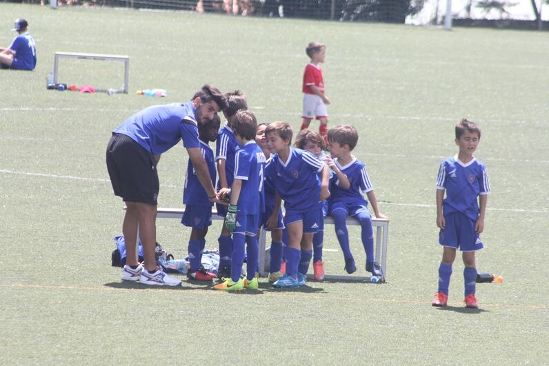 dinis aveiro, sobrinho de cristiano, katia aveiro, josé pereira 