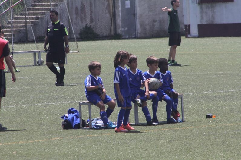 dinis aveiro, sobrinho de cristiano, katia aveiro, josé pereira 