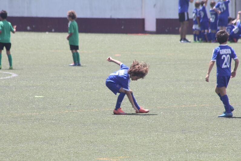 dinis aveiro, sobrinho de cristiano, katia aveiro, josé pereira 