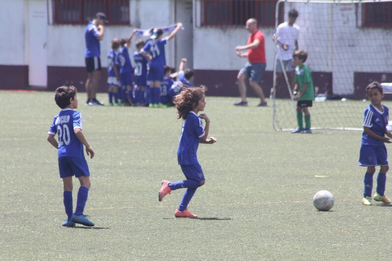 dinis aveiro, sobrinho de cristiano, katia aveiro, josé pereira 