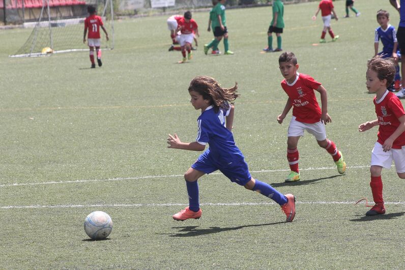 dinis aveiro, sobrinho de cristiano, katia aveiro, josé pereira 