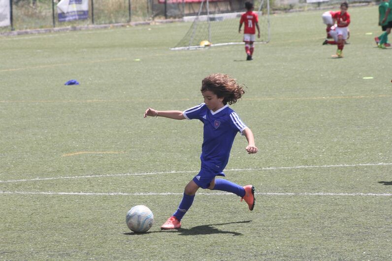 dinis aveiro, sobrinho de cristiano, katia aveiro, josé pereira 