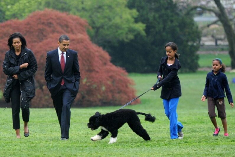 Sasha Obama