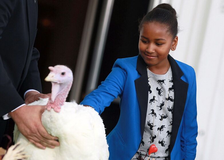 Sasha Obama