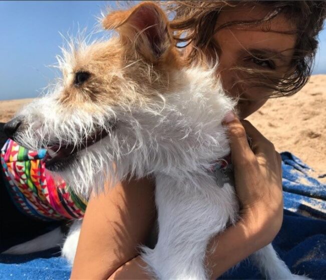 daniel oliveira, andreia rodrigues