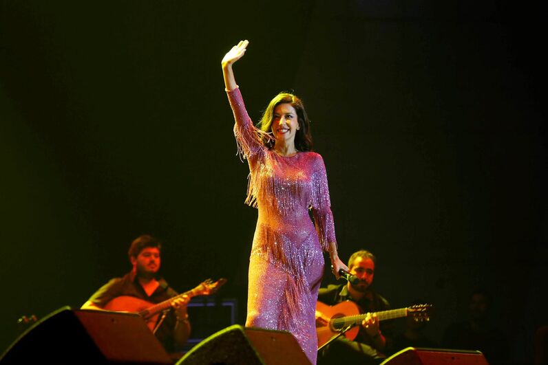 concerto solidário, meo arena