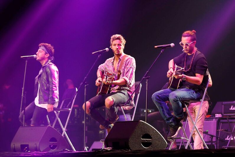 concerto solidário, meo arena