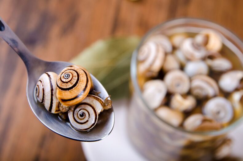 caracóis