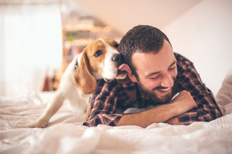 cão homem