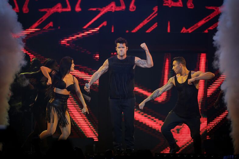 Ricky Martin, Meo arenas