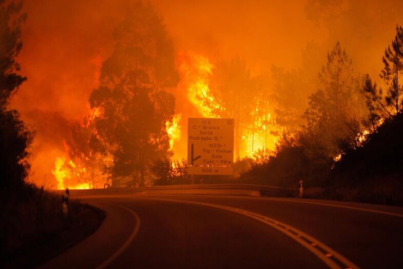 tragédia, incêndio, pedrógão grande, marcelo, vítimas, mortos