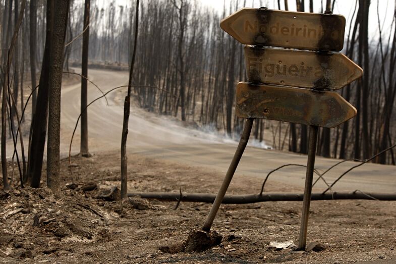 incêndio pedrógão