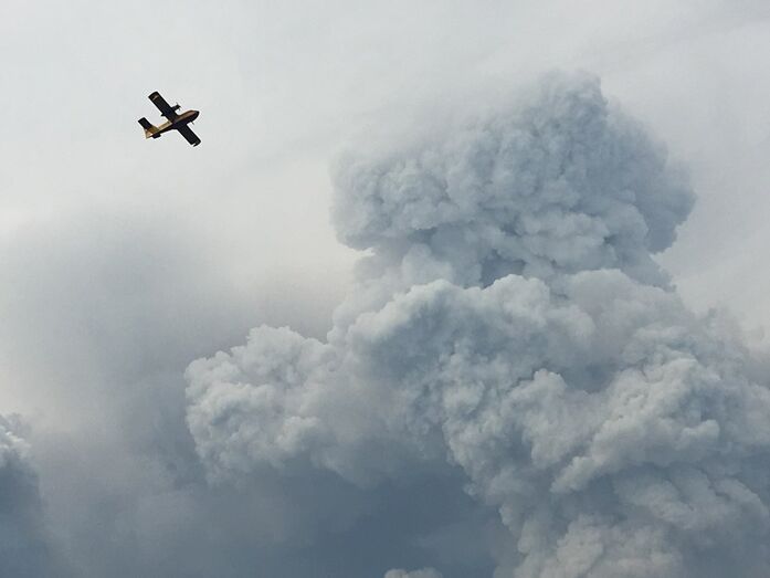incêndio pedrógão