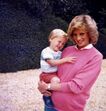 william, harry, diana