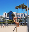 Lourenço Ortigão, Los angeles, califórnia
