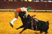 Corrida Flash!