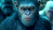 Planeta dos Macacos 
