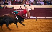 Manzanares, Pablo Hermoso de Mandoza, Campo Pequeno