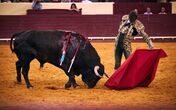 Manzanares, Pablo Hermoso de Mandoza, Campo Pequeno