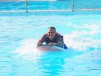 Ricardo Quaresma, Seleção Nacional, Zoomarine