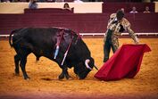Manzanares, Pablo Hermoso de Mandoza, Campo Pequeno