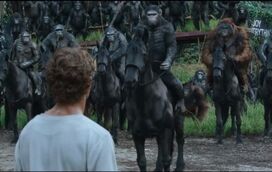 O regresso dos macacos em semana de filmes de ação