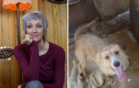 Né Ladeiras procura dono para o Bibas, que vive num galinheiro