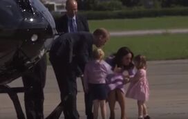 Polícia da Moda: estrelas do carnaval brasileiro 