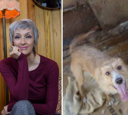 Né Ladeiras procura dono para o Bibas, que vive num galinheiro