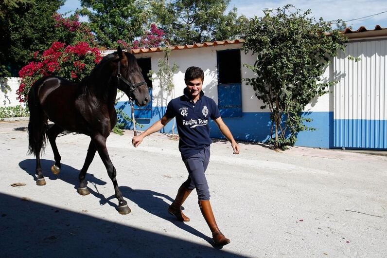 campo pequeno, rui bento vasquez, corrida flash