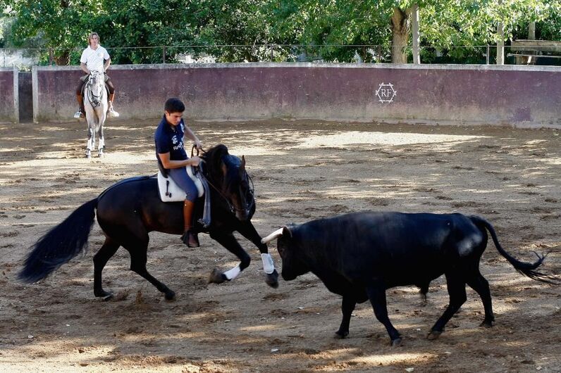 campo pequeno, rui bento vasquez, corrida flash