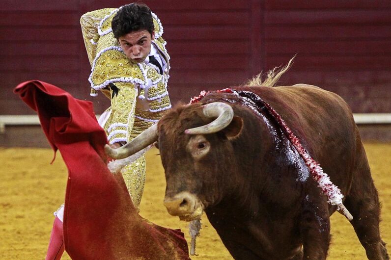 campo pequeno, rui bento vasquez, corrida flash