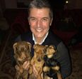João Baião, SIC, quinta, animais exóticos