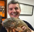 João Baião, SIC, quinta, animais exóticos