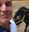 João Baião, SIC, quinta, animais exóticos