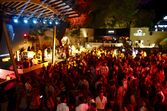 festa Everything is New