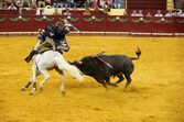 Corrida de touros Campo Pequeno 125 anos 