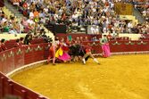 Corrida de touros Campo Pequeno 125 anos 